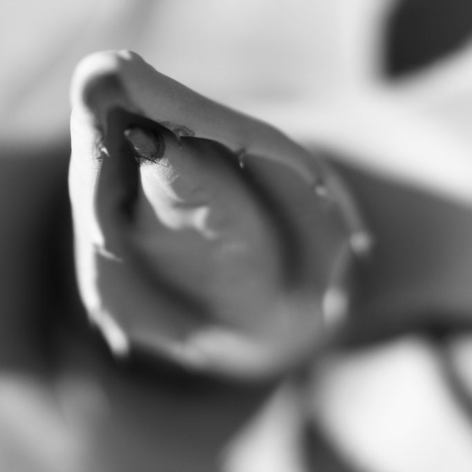 Agave